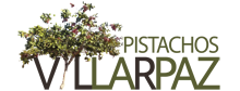 Pistachos VillarPaz - Cultivo de pistachos